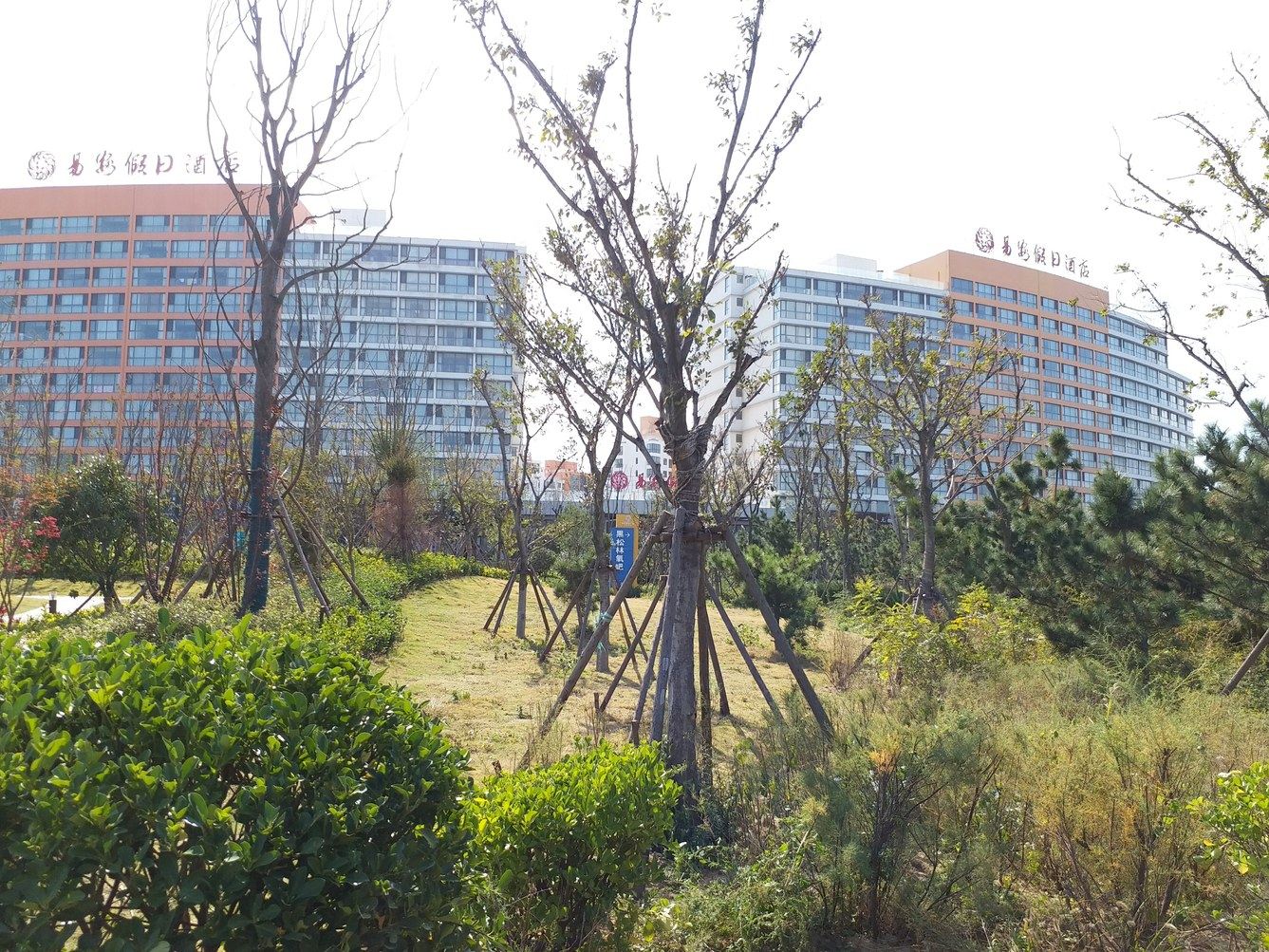 其他