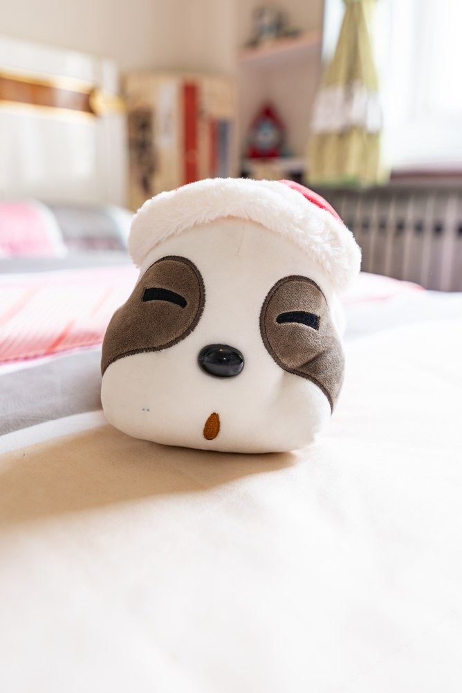 三室一厅套房