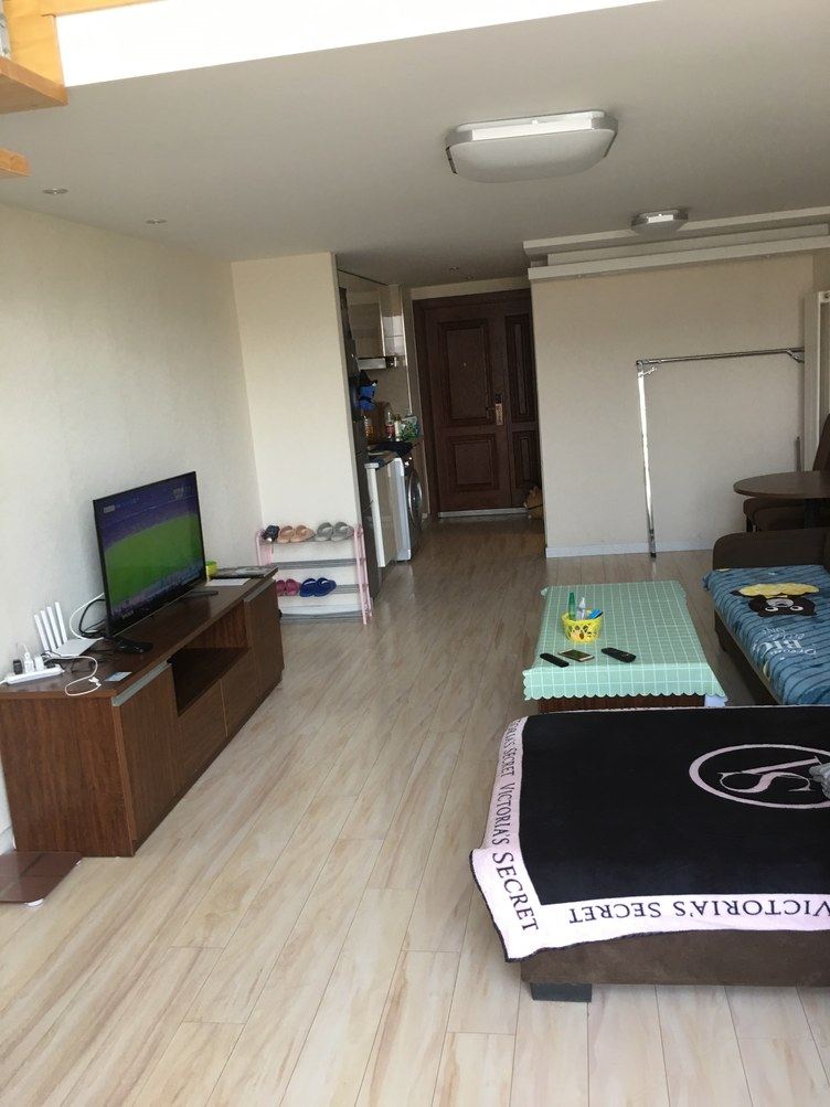 loft一室一厅套房