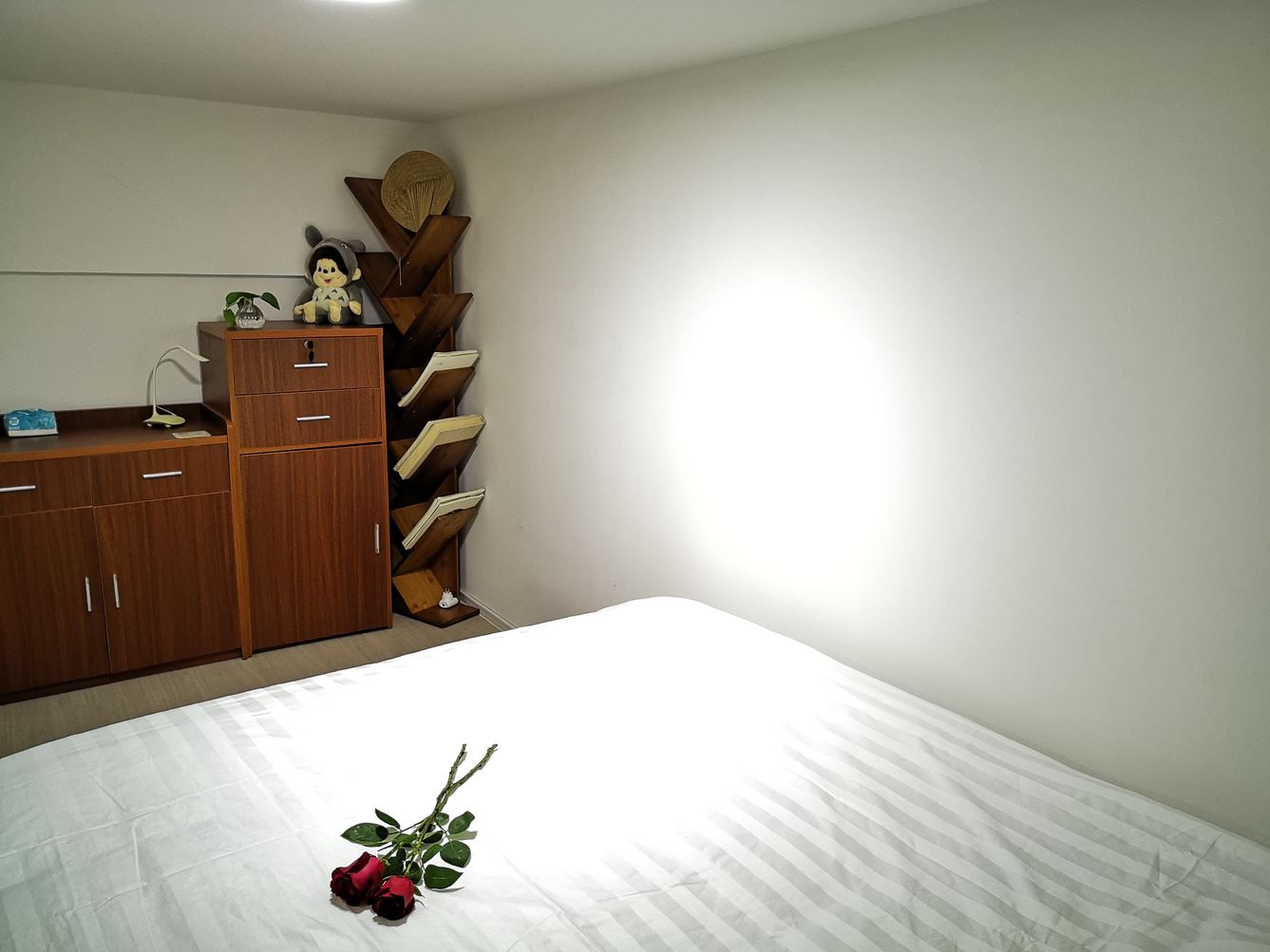 loft二室一厅套房