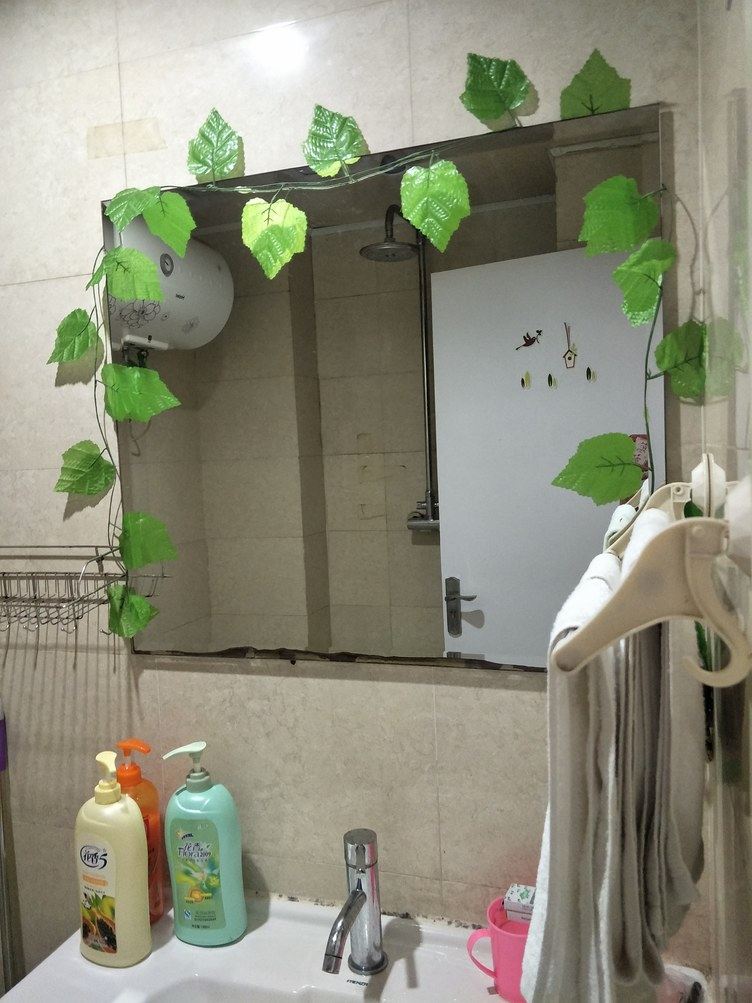 一室一厅