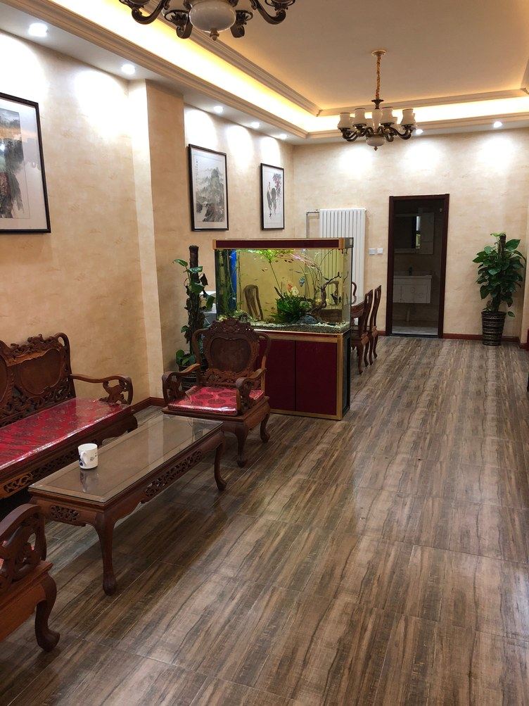 高端一室一厅套房
