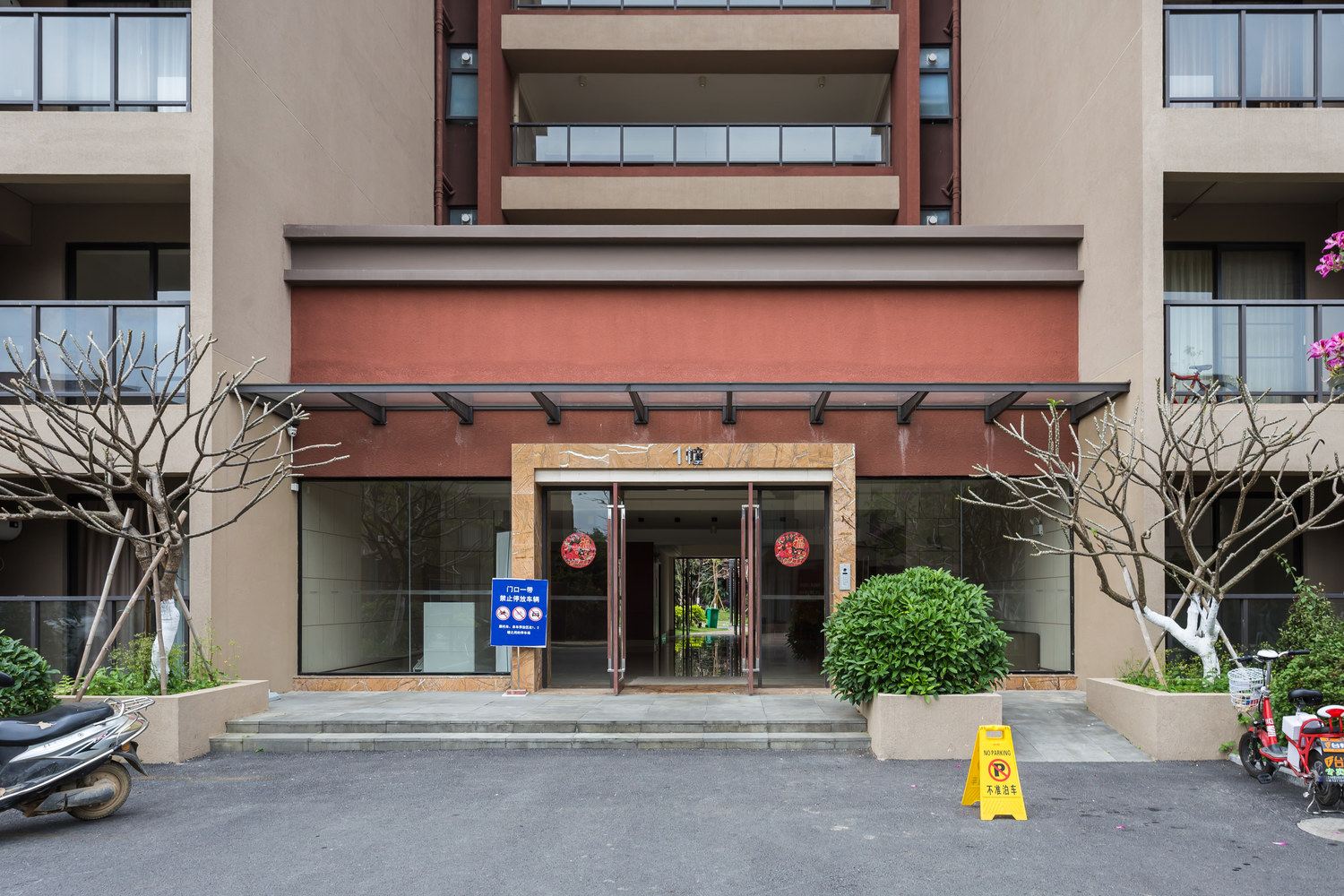 外观