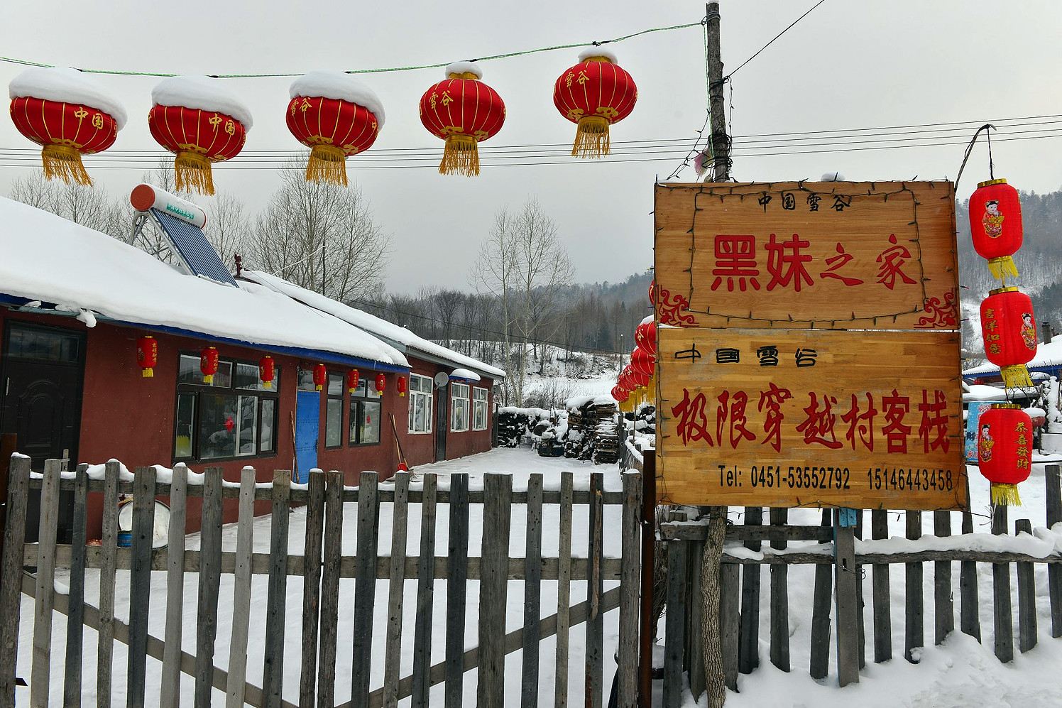 外观