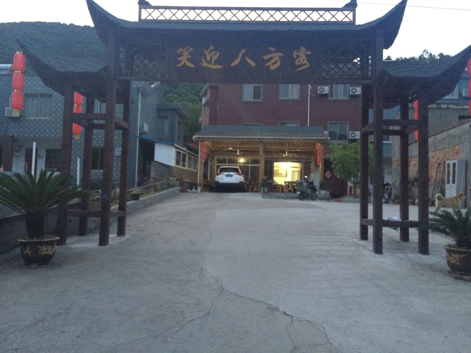 外观