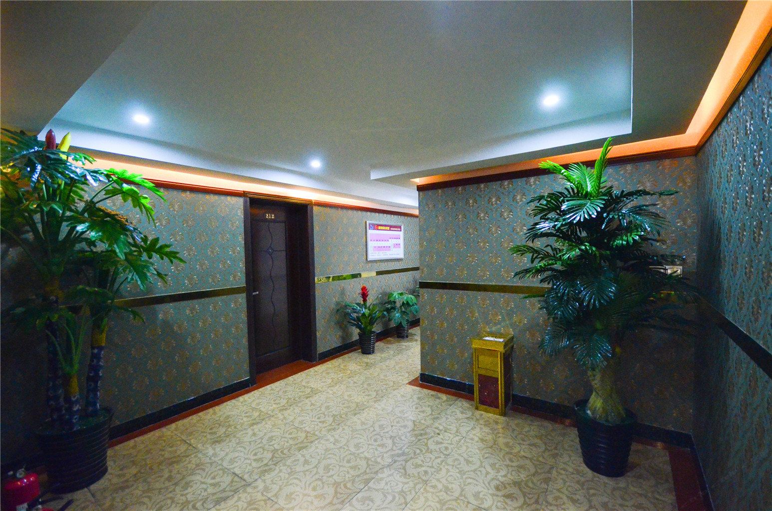 公共区域