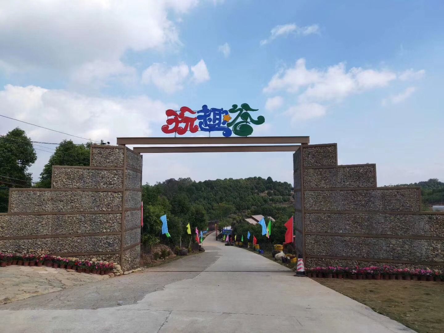 外观