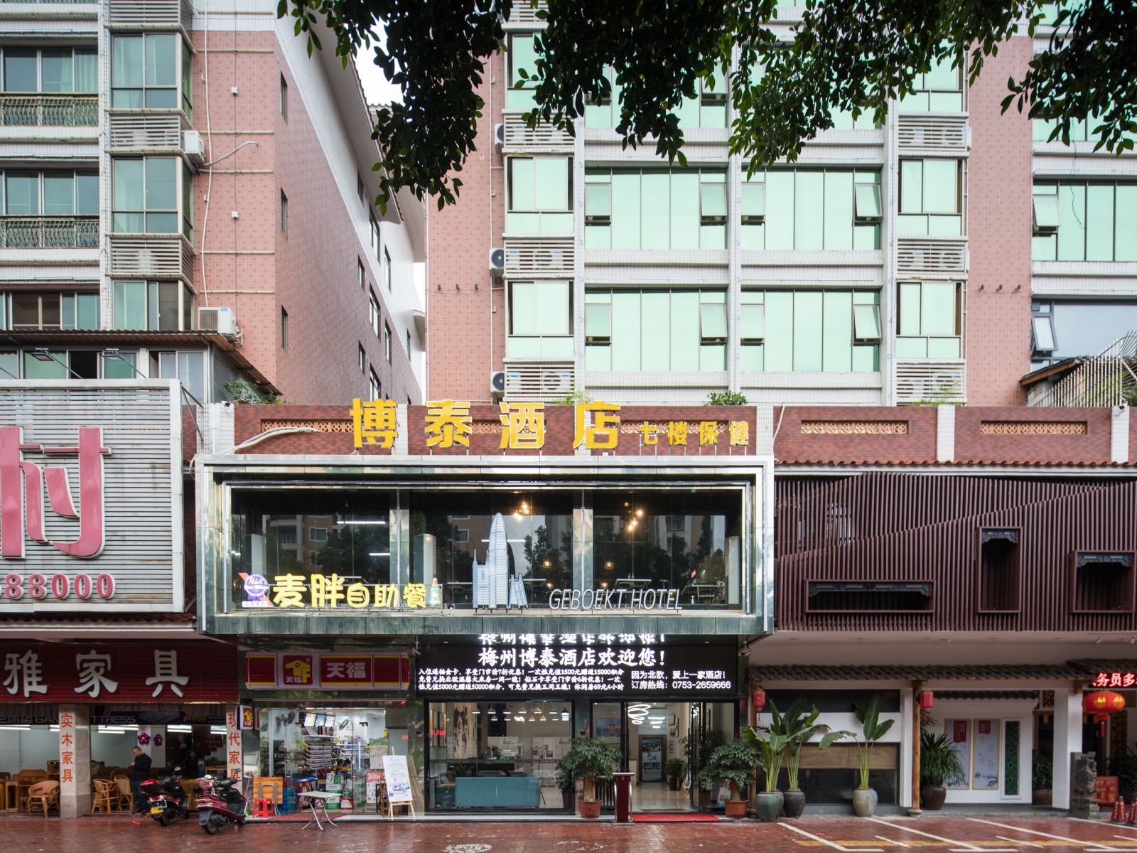 外观