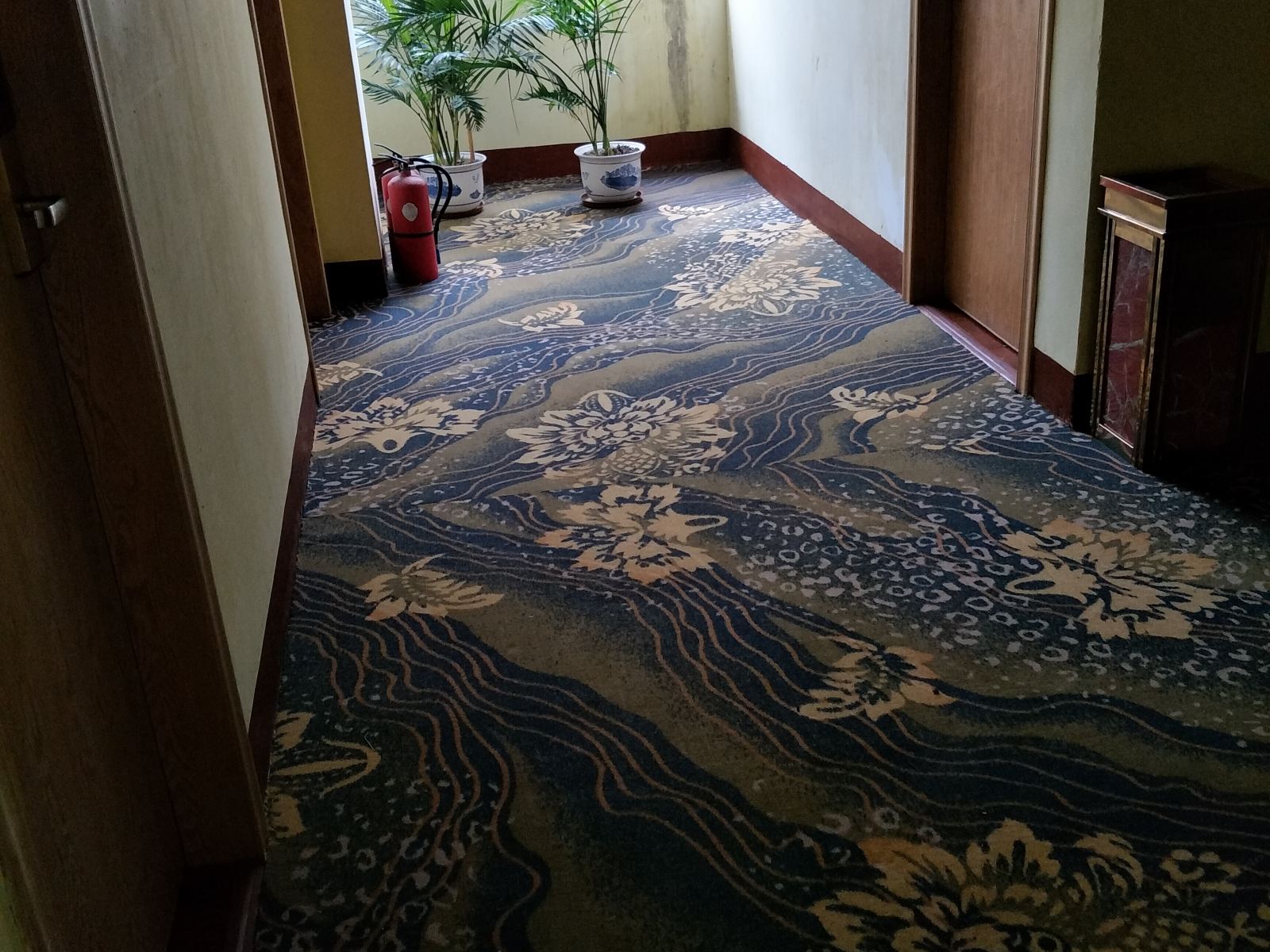 公共区域