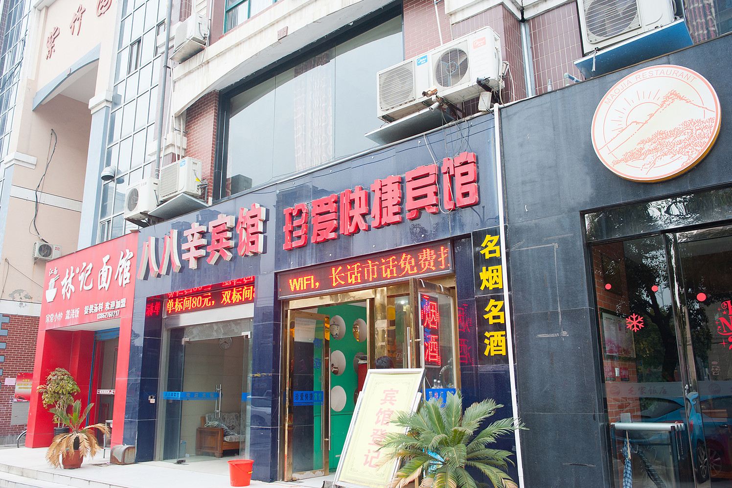 外观