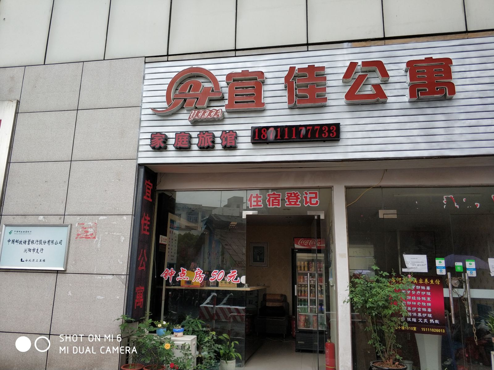 外观