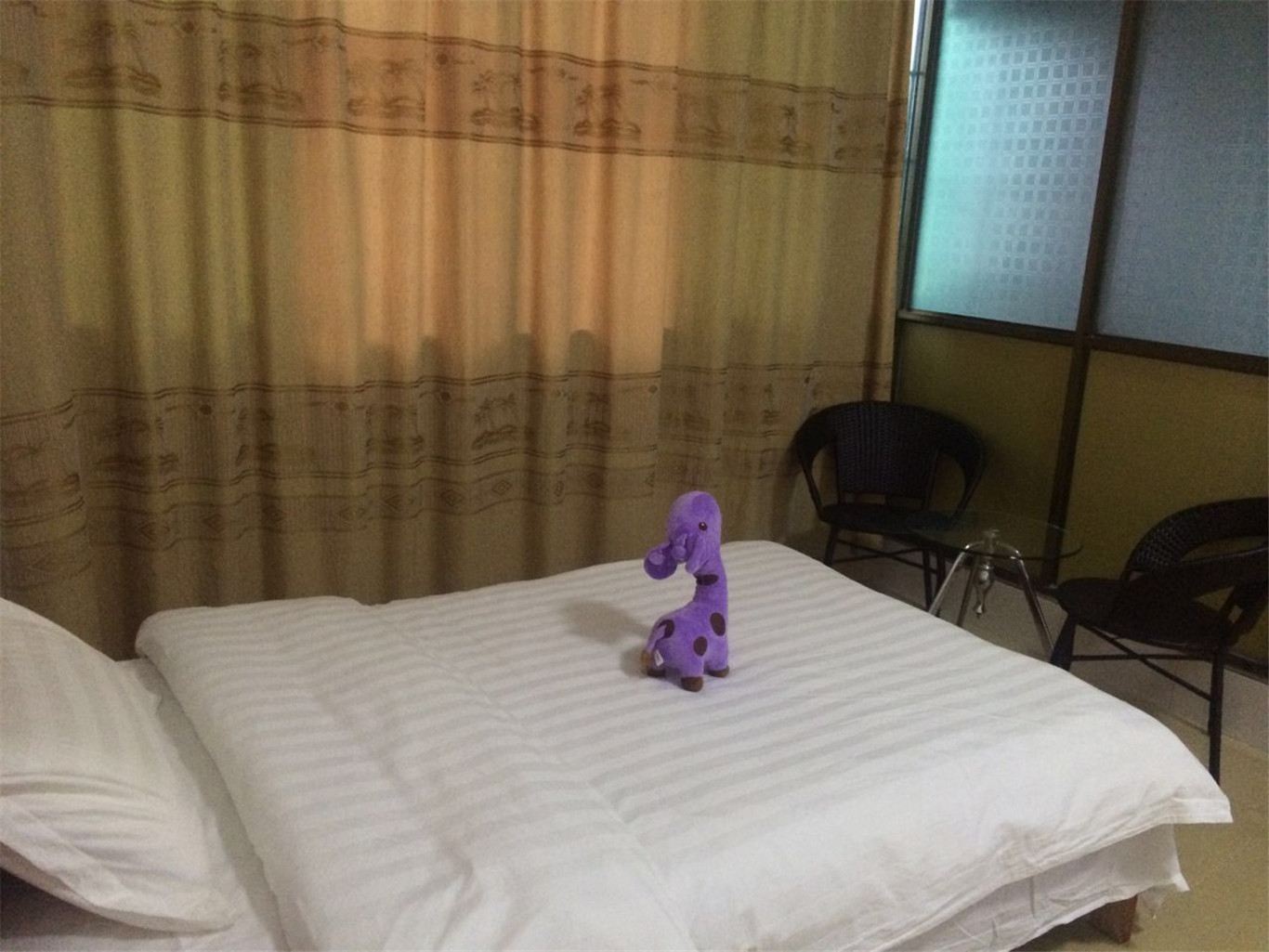 豪华双床房