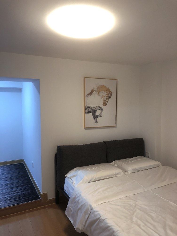 loft二室一厅套房