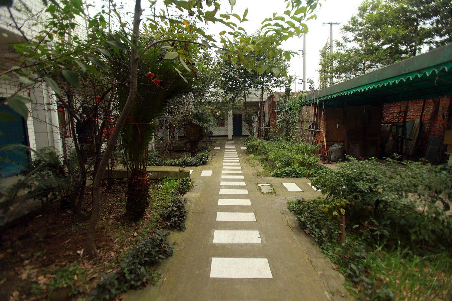 公共区域