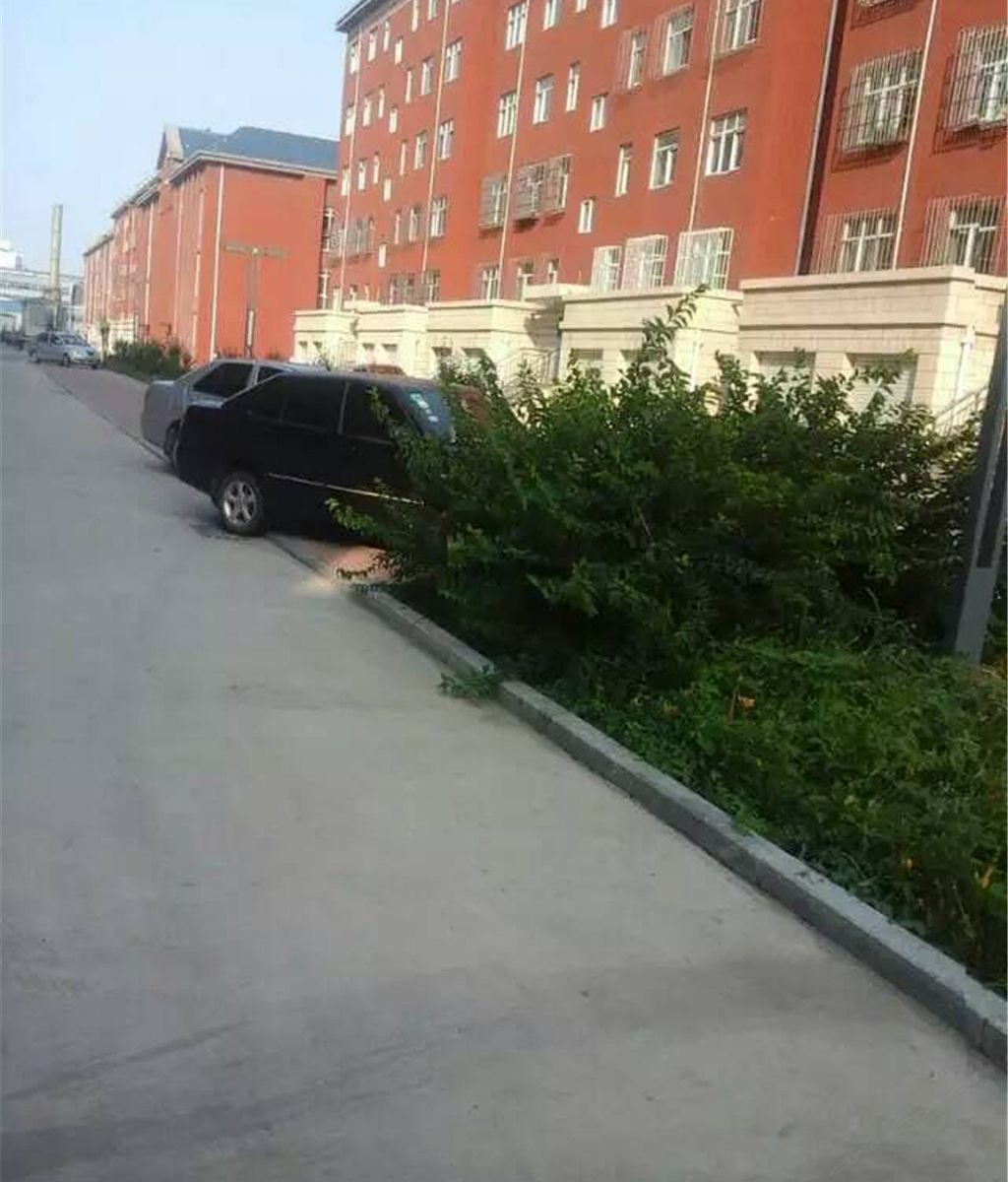 乐亭月坨岛日租公寓