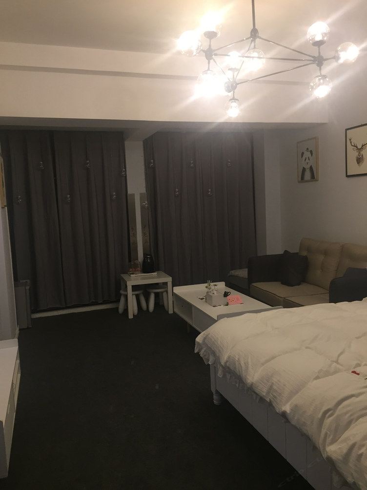 精致一室大床房