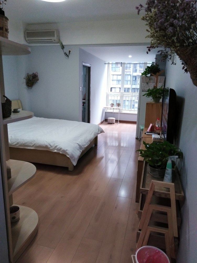 现代风一室大床房