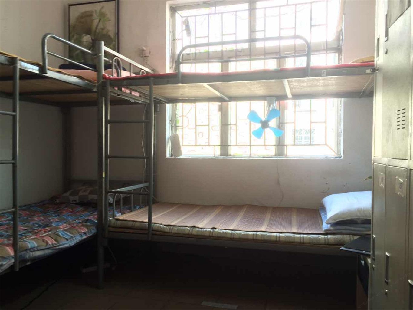 经典男生八人间床位房