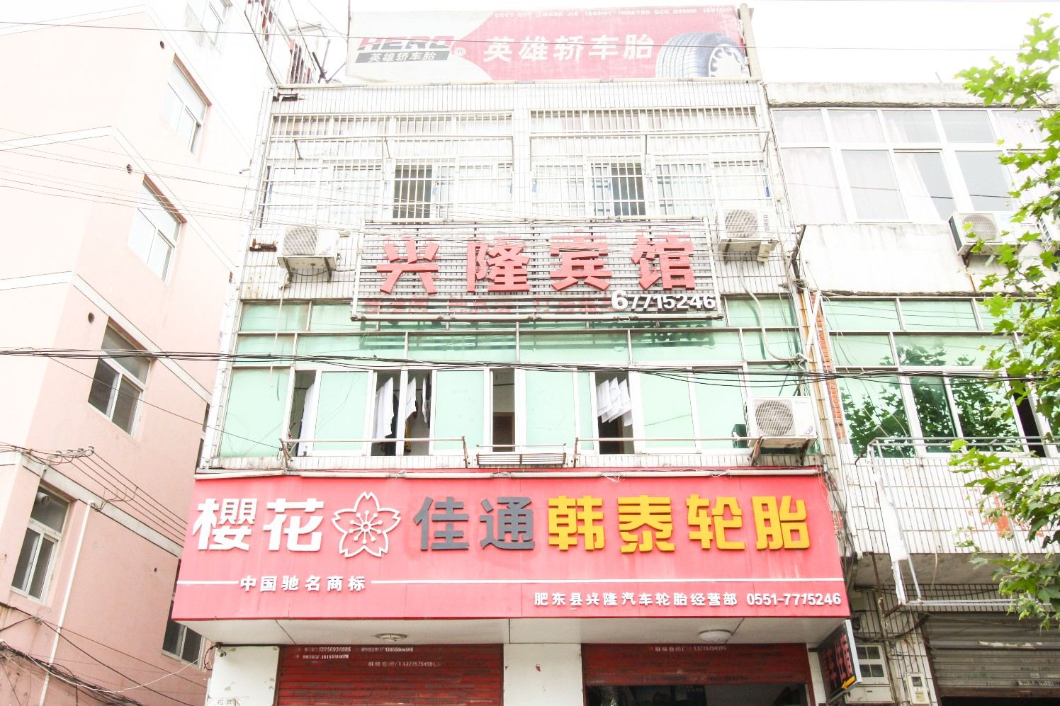 外观