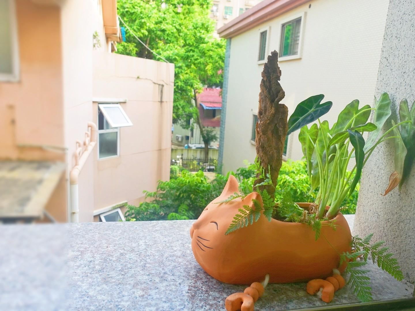 简约大房