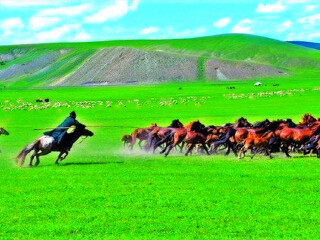 去呼伦贝尔的旅行团_呼伦贝尔六日游_呼伦贝尔跟团旅游团
