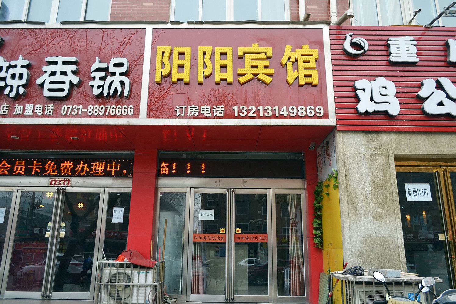 外观