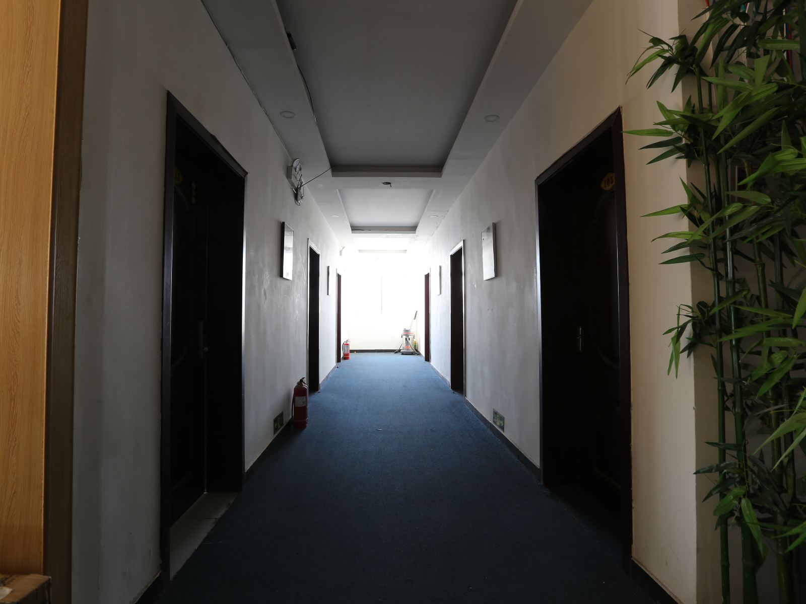 公共区域