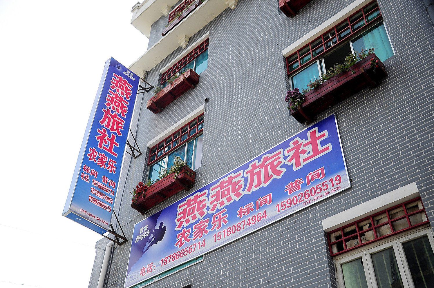 外观