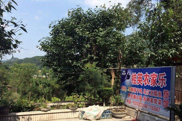 息烽桂英农家乐