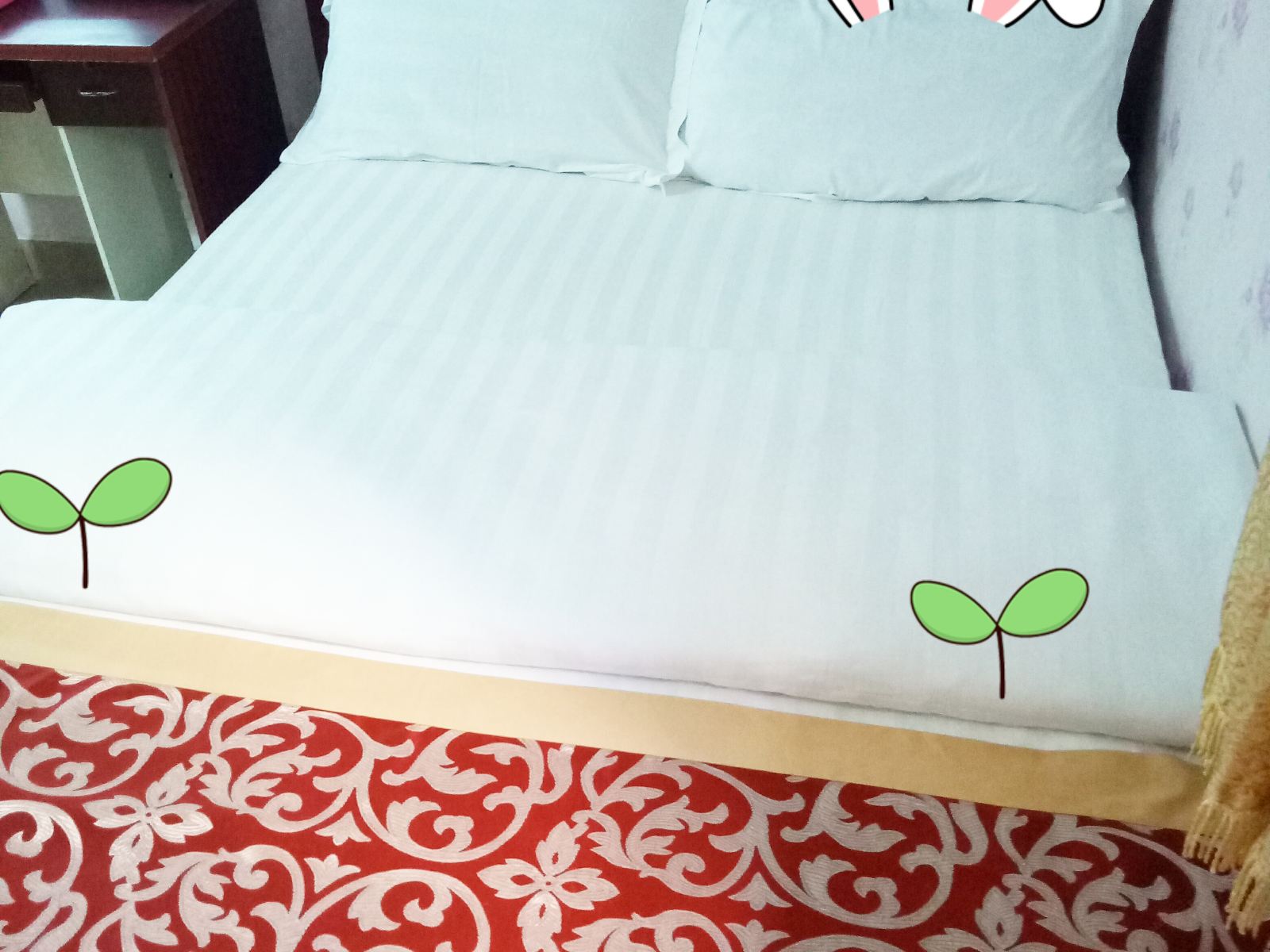 豪华大床房