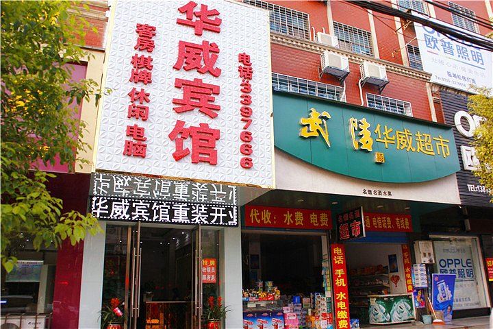 外观