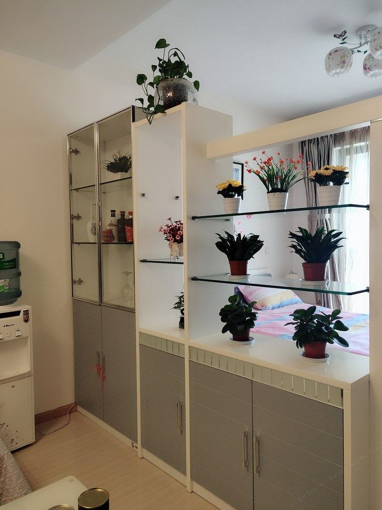 精致一室大床房