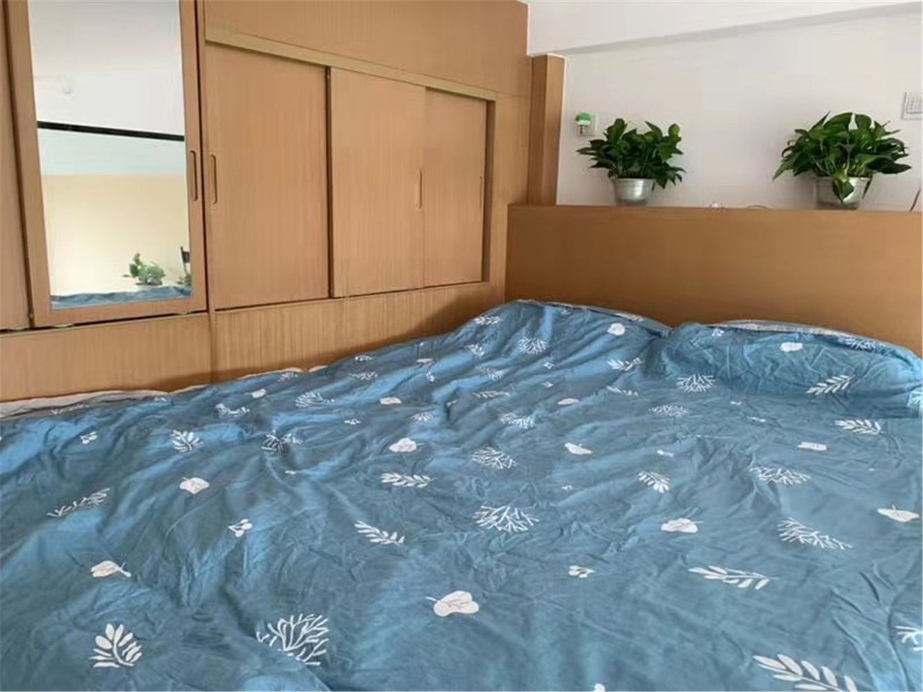 loft一室一厅套房