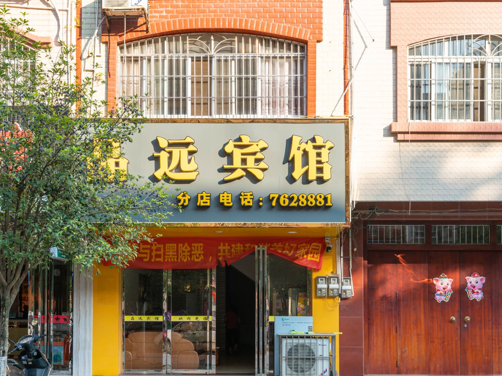 外观