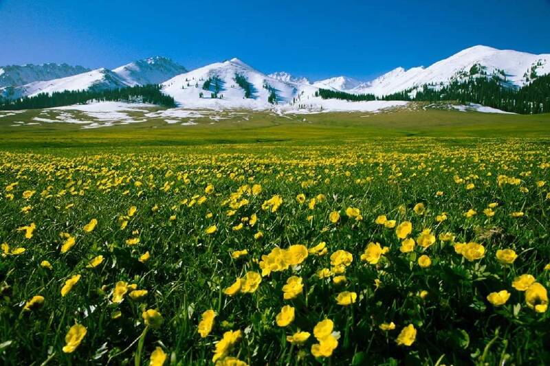 推荐理由 北疆地区有着得天独厚的旅游