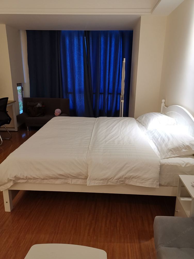 精美一室大床房