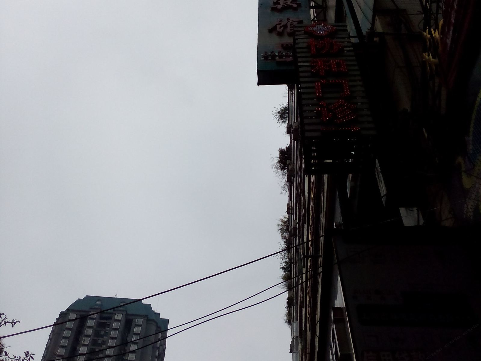 毕节长鸿宾馆