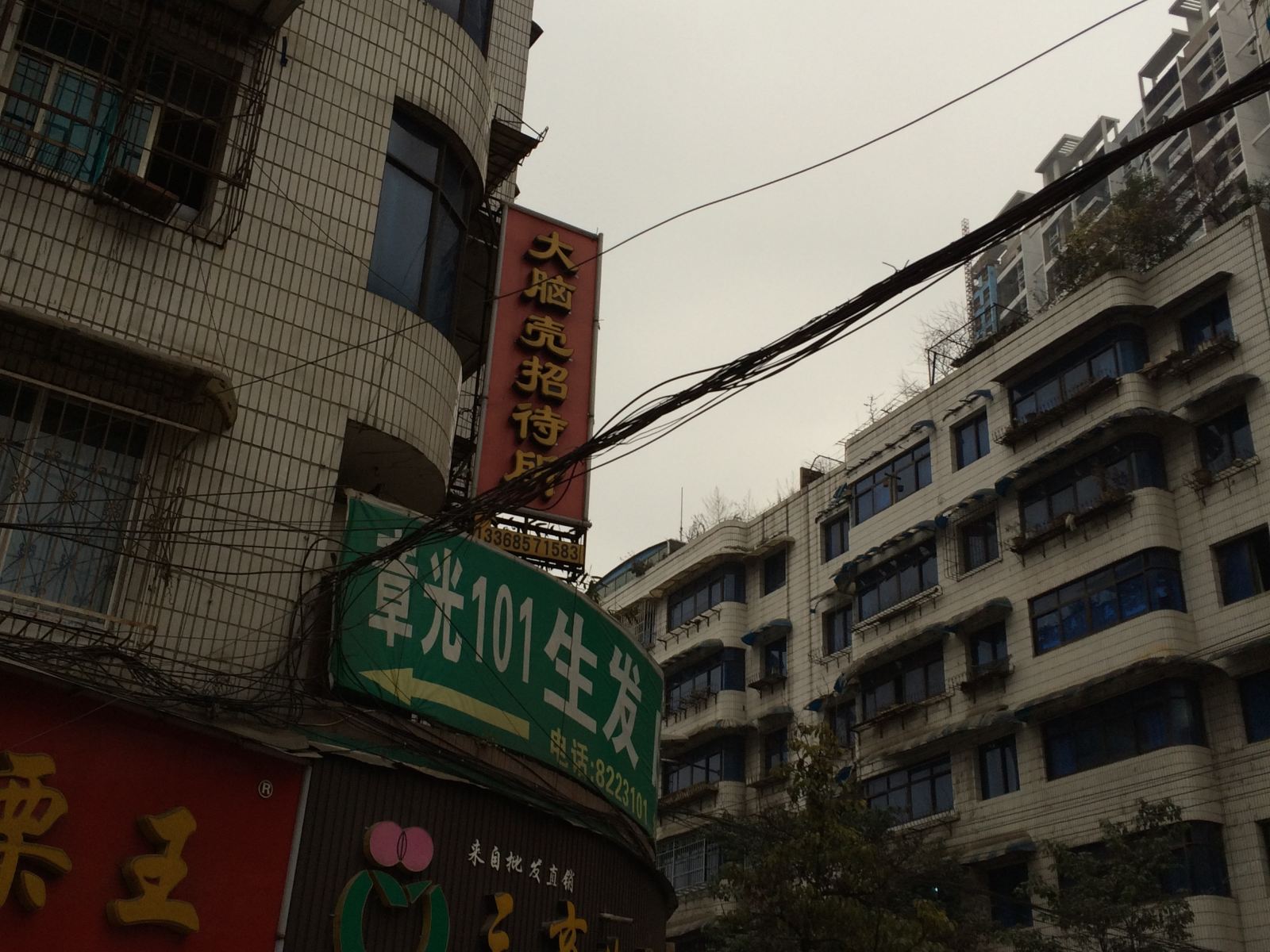 外观