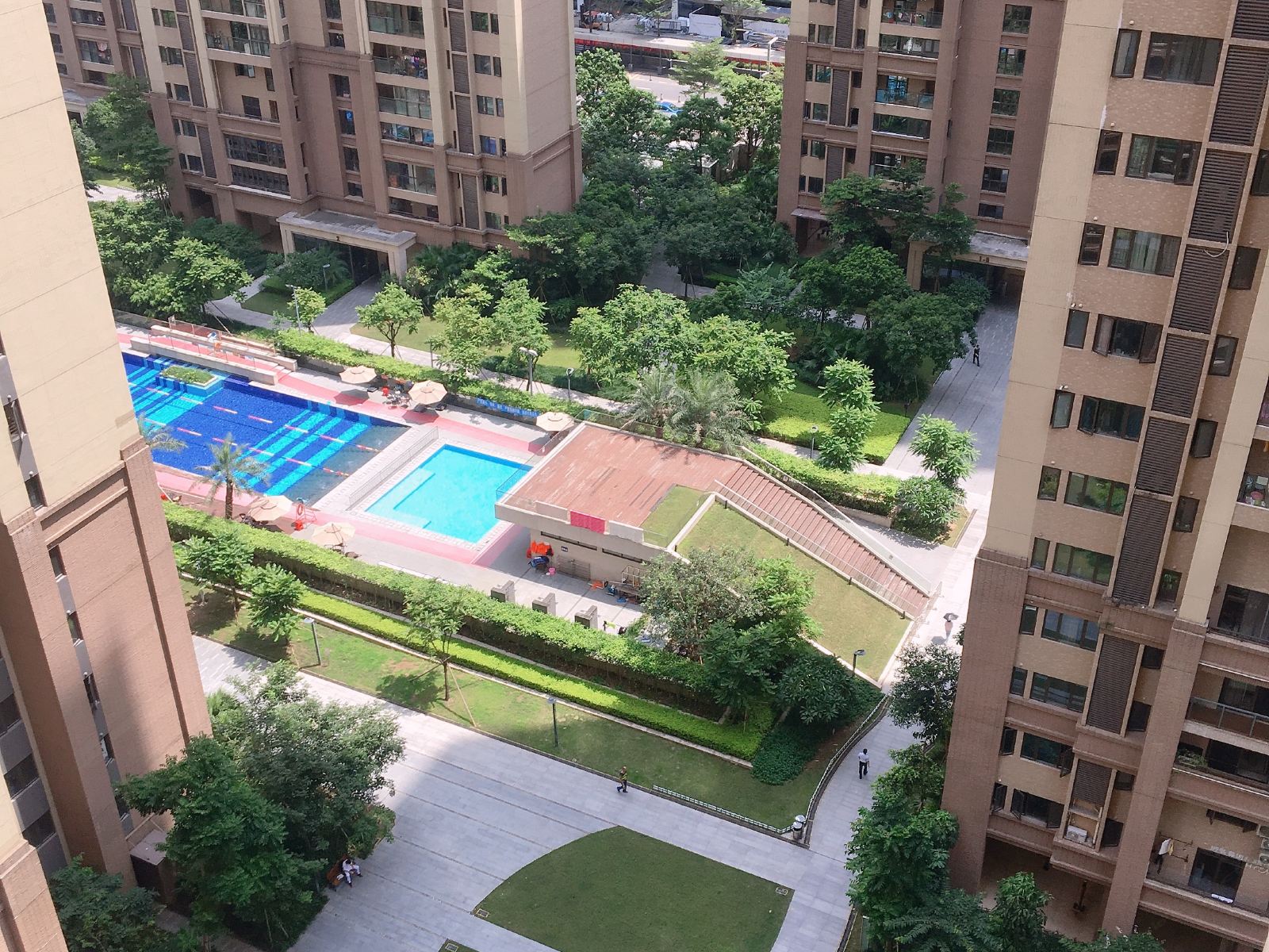 深圳叮当鸽民宿