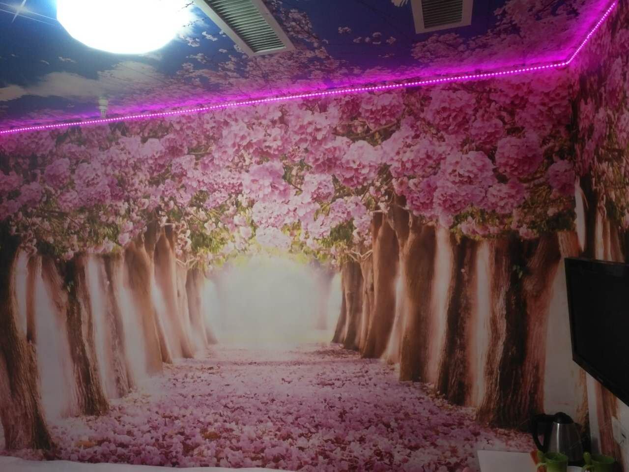 主题房