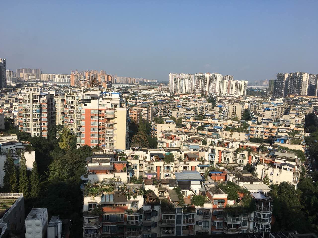 龙猫公寓