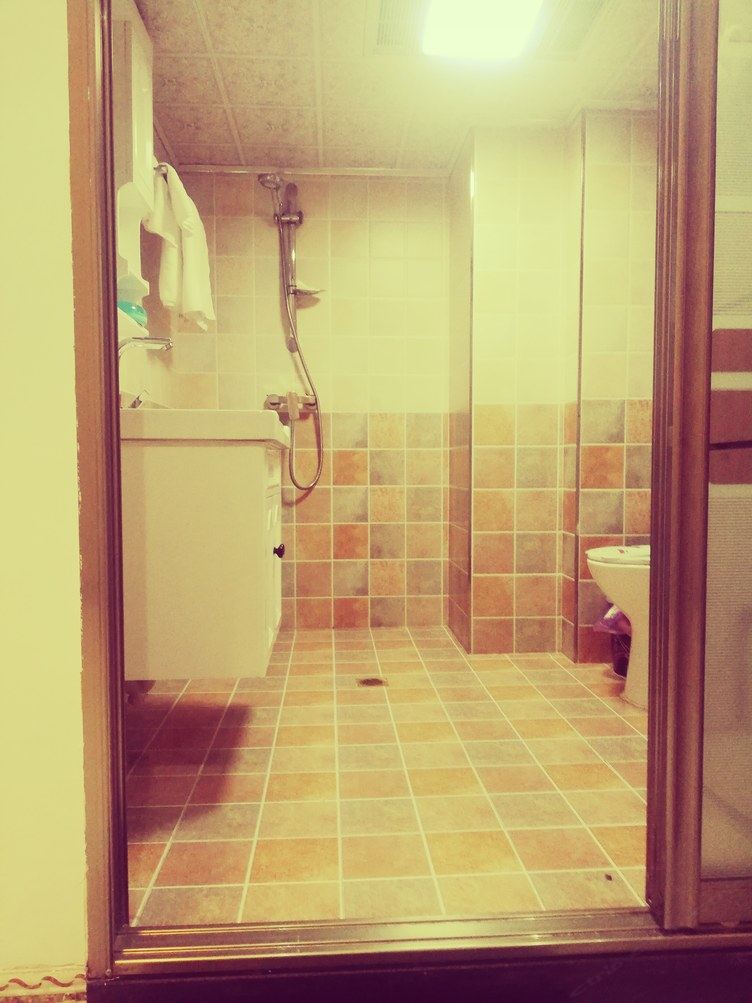 普通loft一室一厅套房