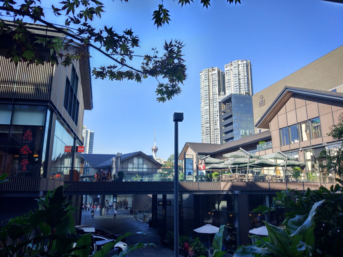 成都建筑师的室内丛林公寓(3号店)