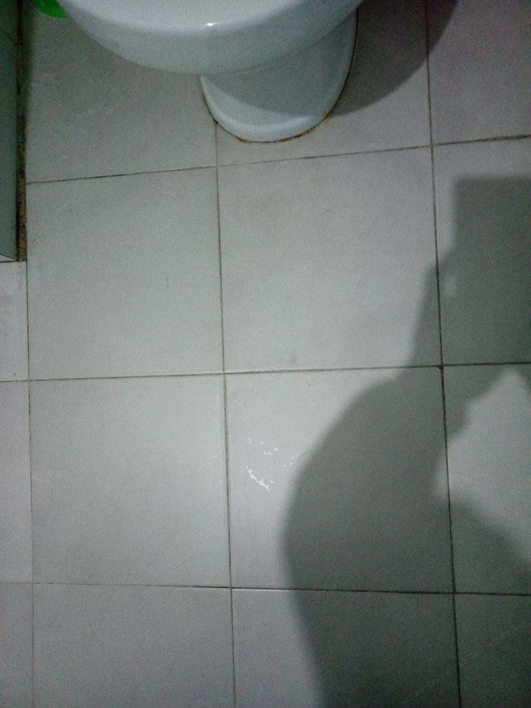 精致舒适房