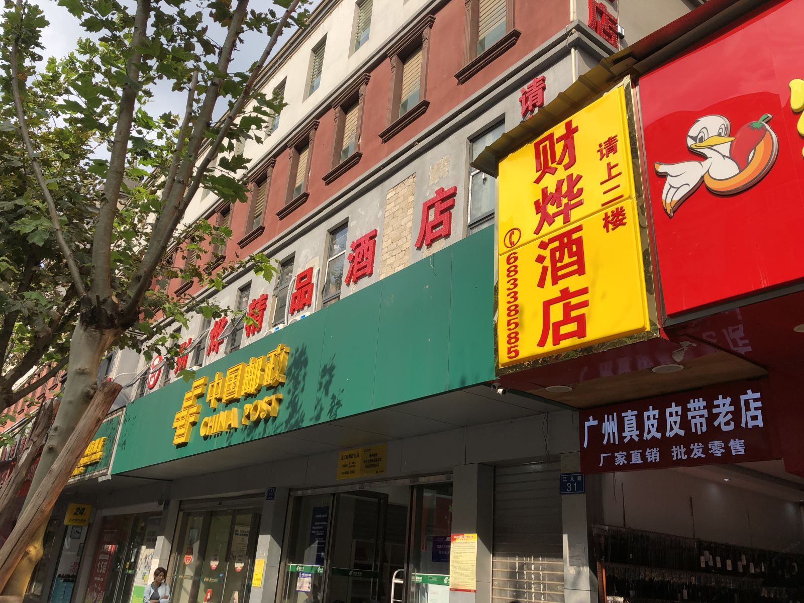 外观