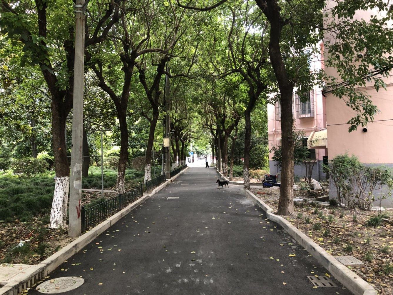 上海Hoshare禾舍民宿(38号店)