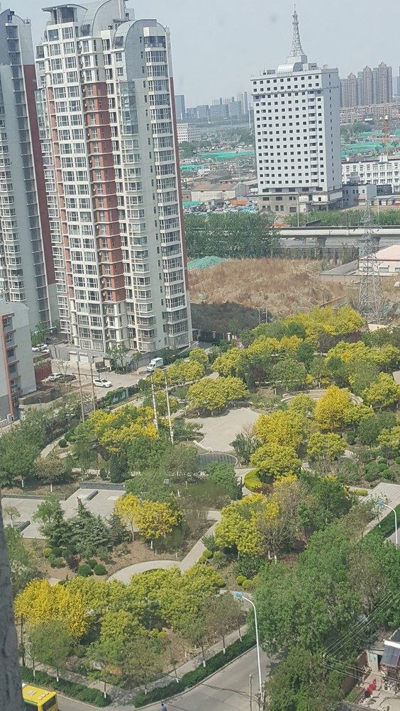 天津清心小憩家庭宾馆日租(新塘湖公园分店)