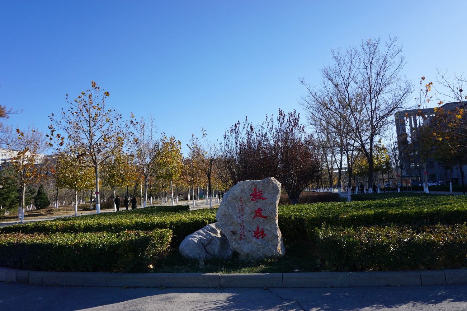 天津大学城天空之城度假屋公寓(3号店)