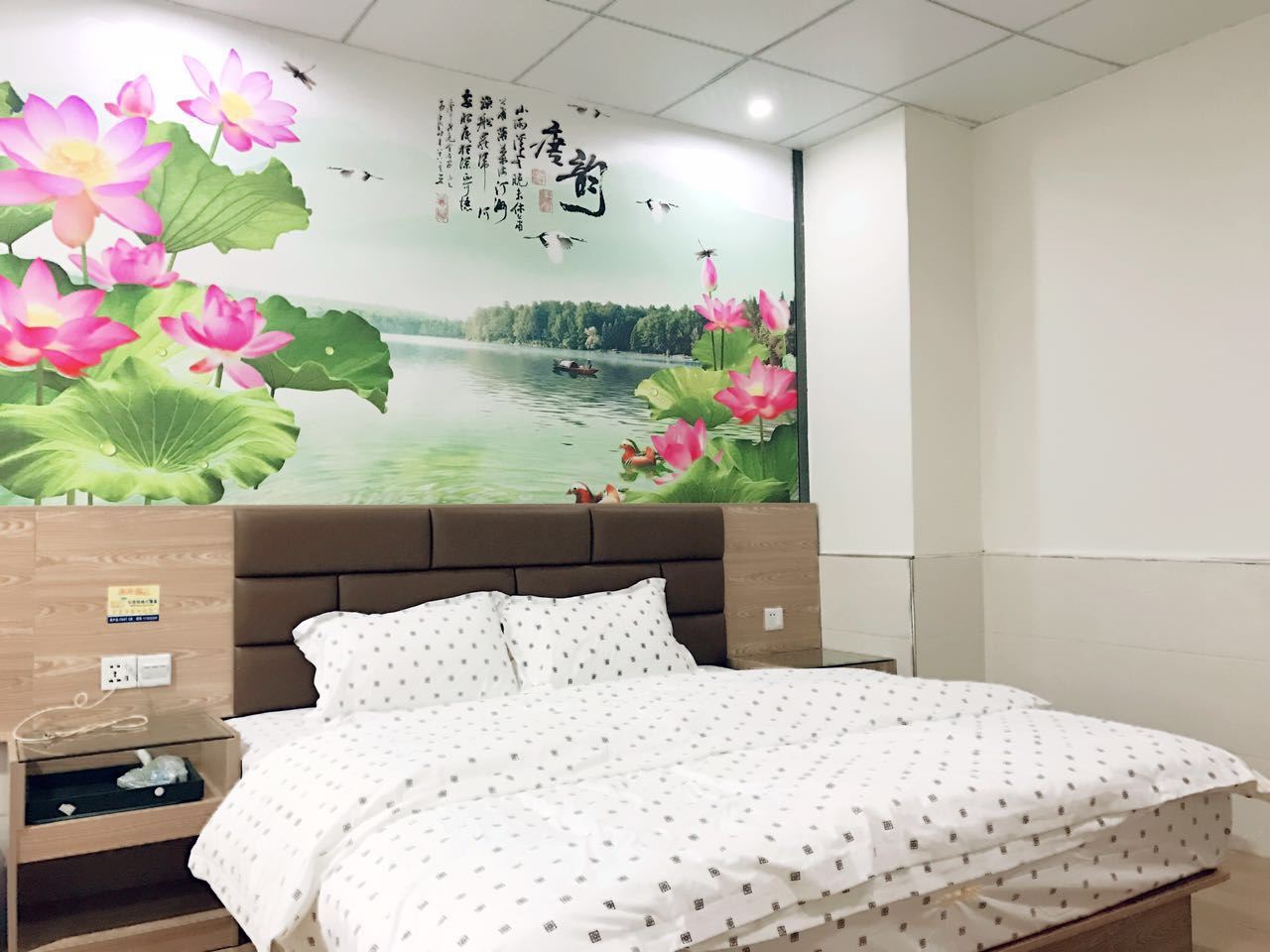 豪华套房