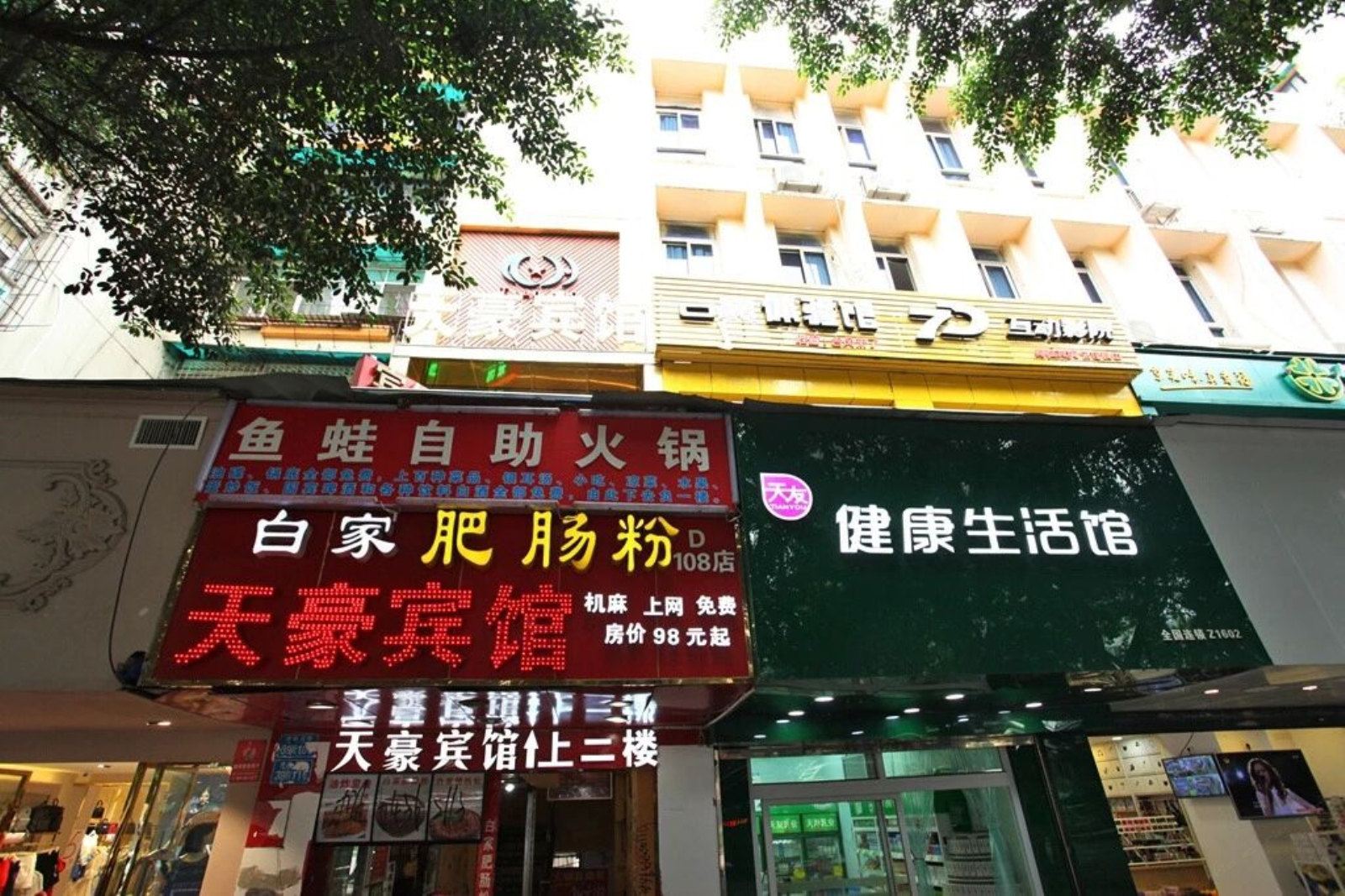 外观